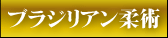 ブラジリアン柔術