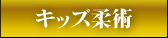 キッズ柔術
