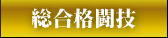 総合格闘技